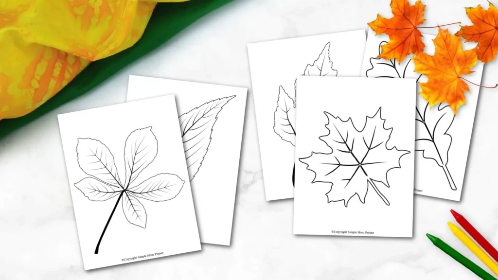 Free-Printable-Autumn-and-Fall-Leaf-Template-Stencil-and-Pattern-22