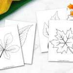 Free-Printable-Autumn-and-Fall-Leaf-Template-Stencil-and-Pattern-22