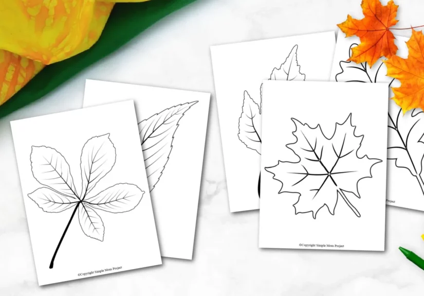 Free-Printable-Autumn-and-Fall-Leaf-Template-Stencil-and-Pattern-22